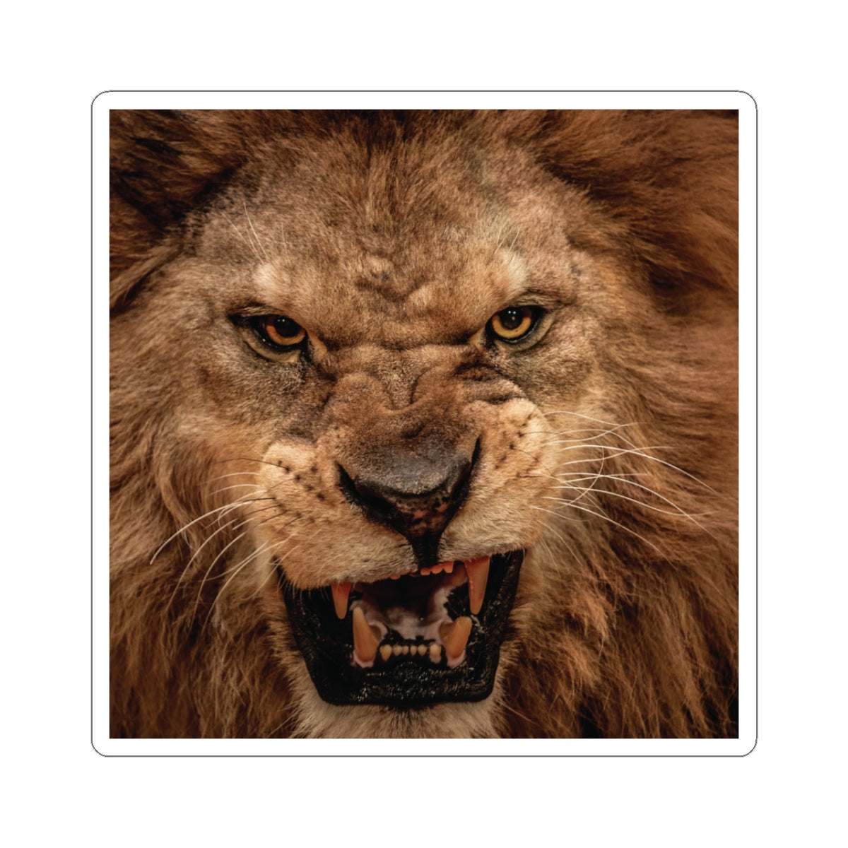 Lion Sticker