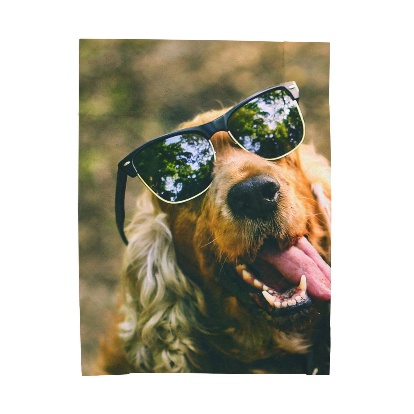 Cool Dog Velveteen Plush Blanket